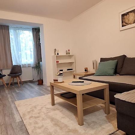 Târgu-Mureş Enci House Apartment מראה חיצוני תמונה